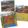 Eko dan Kanit Intel Polsek Sandai Berikan Klarifikasi Terkait Pemberitaan Dugaan Illegal Logging