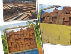 Eko dan Kanit Intel Polsek Sandai Berikan Klarifikasi Terkait Pemberitaan Dugaan Illegal Logging